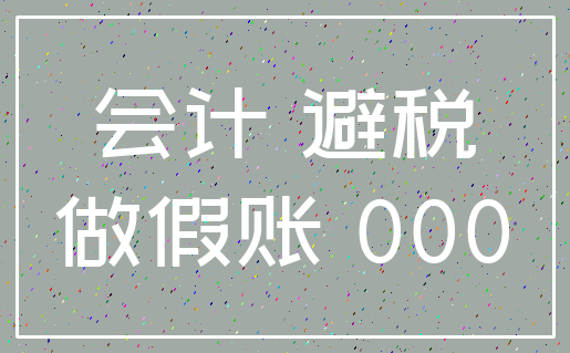 会计 避税_做假账 000