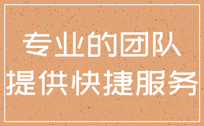 专业的团队_提供快捷服务