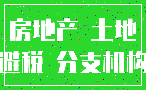 房地产 土地_避税 分支机构