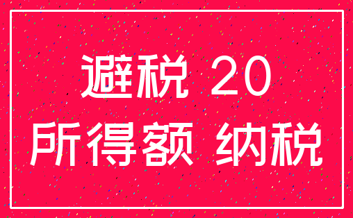 避税 20_所得额 纳税