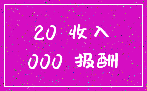 20 收入_000 报酬