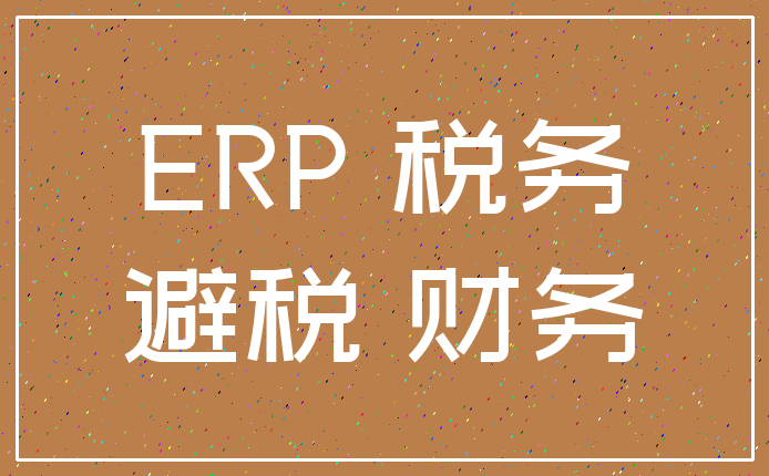 ERP 税务_避税 财务