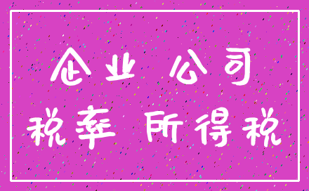 企业 公司_税率 所得税