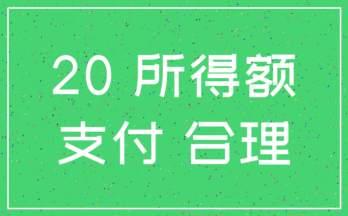 20 所得额_支付 合理