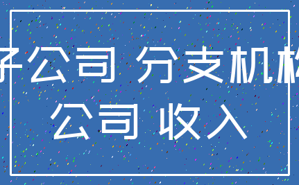 子公司 分支机构_公司 收入