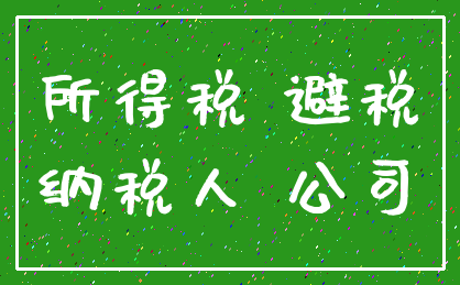 所得税 避税_纳税人 公司