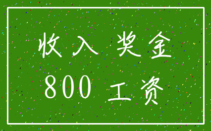 收入 奖金_800 工资