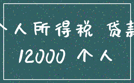 个人所得税 贷款_12000 个人