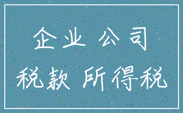 企业 公司_税款 所得税