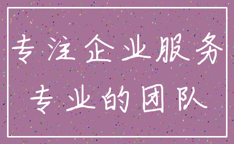 专注企业服务_专业的团队