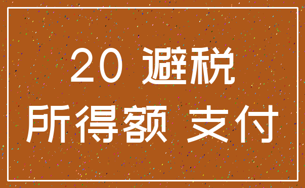 20 避税_所得额 支付