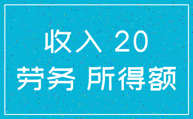 收入 20_劳务 所得额