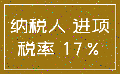 纳税人 进项_税率 17%