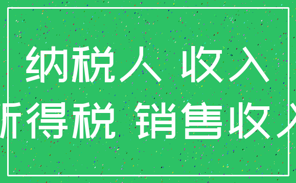 纳税人 收入_所得税 销售收入