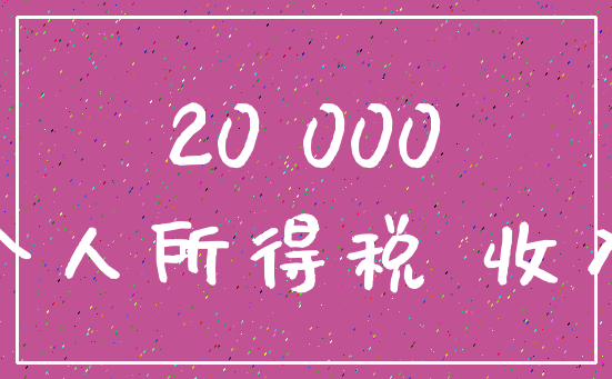 20 000_个人所得税 收入