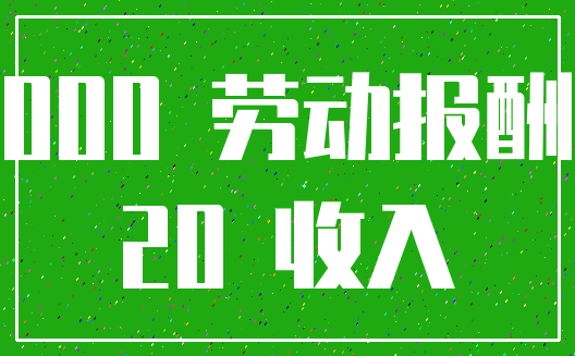 000 劳动报酬_20 收入