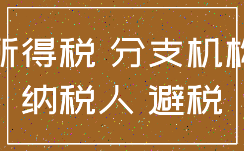 所得税 分支机构_纳税人 避税