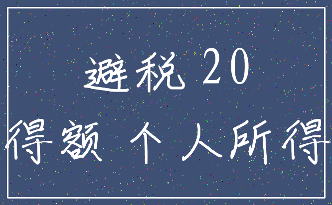 避税 20_所得额 个人所得税