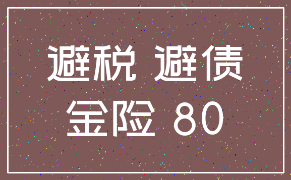 避税 避债_金险 80