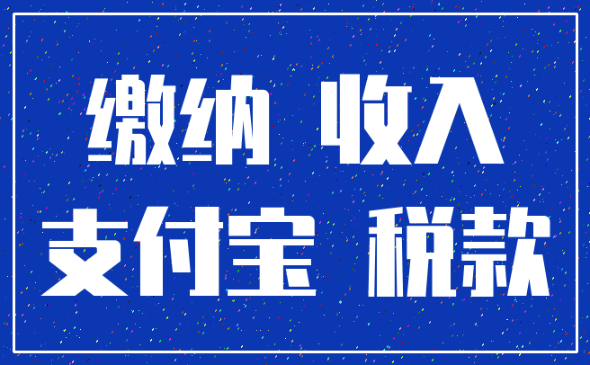 缴纳 收入_支付宝 税款