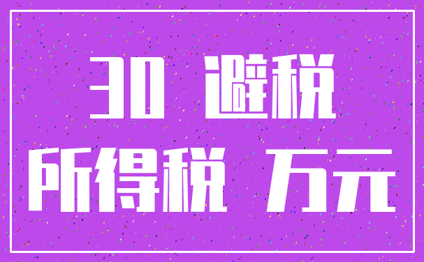 30 避税_所得税 万元