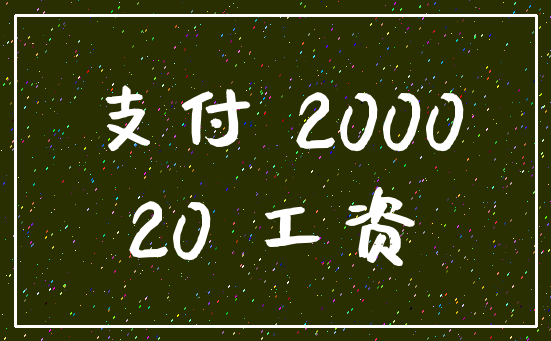 支付 2000_20 工资