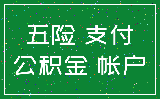 五险 支付_公积金 帐户