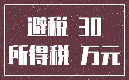 避税 30_所得税 万元