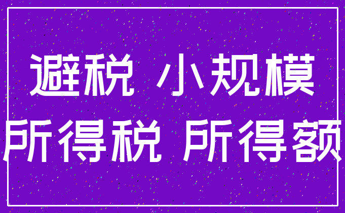 避税 小规模_所得税 所得额