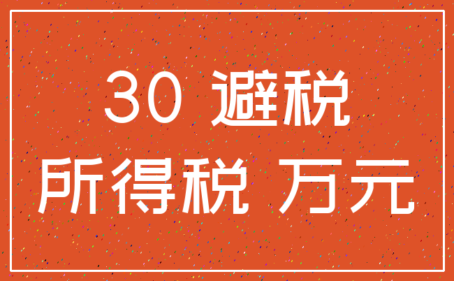 30 避税_所得税 万元