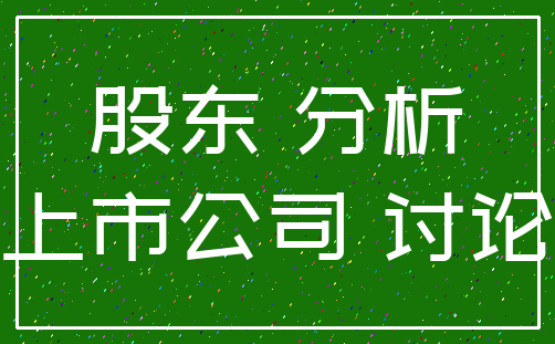 股东 分析_上市公司 讨论