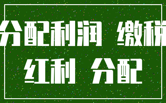 分配利润 缴税_红利 分配