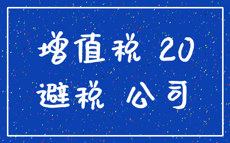 增值税 20_避税 公司