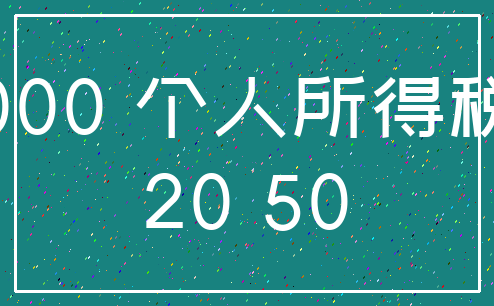 000 个人所得税_20 50