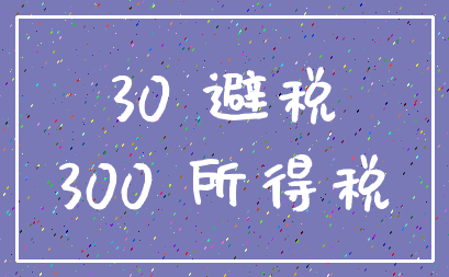 30 避税_300 所得税