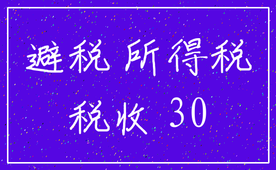 避税 所得税_税收 30