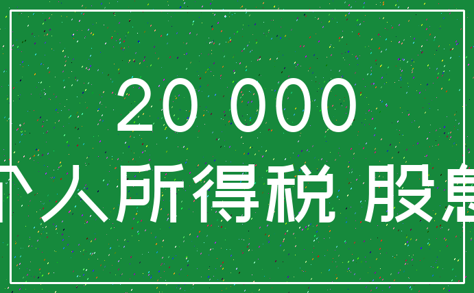 20 000_个人所得税 股息