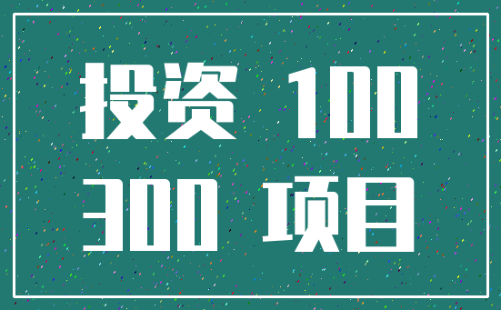 投资 100_300 项目