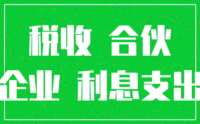 税收 合伙_企业 利息支出