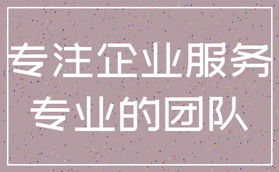 专注企业服务_专业的团队