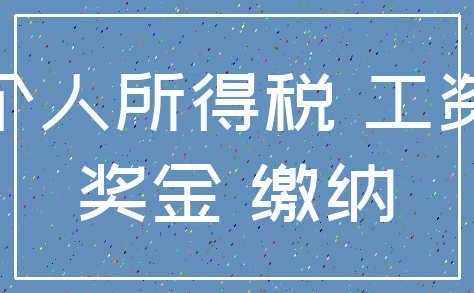 个人所得税 工资_奖金 缴纳