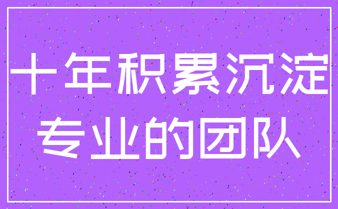 十年积累沉淀_专业的团队