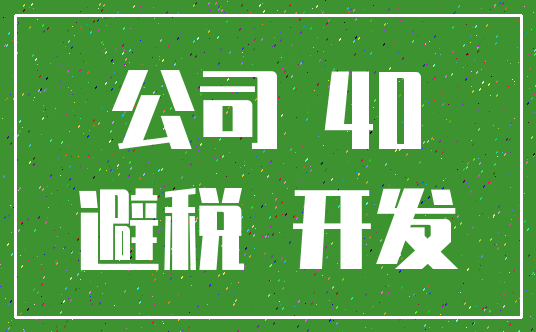 公司 40_避税 开发