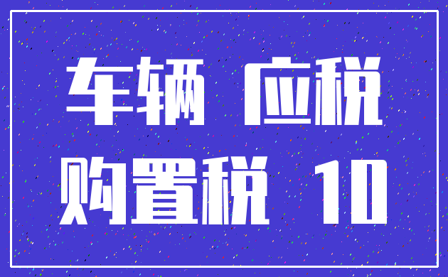 车辆 应税_购置税 10