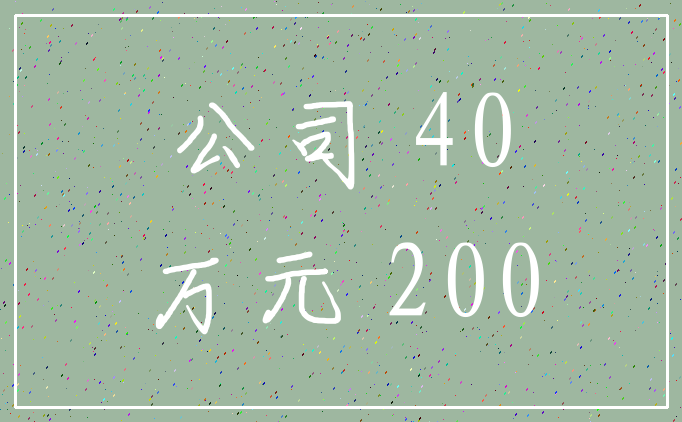 公司 40_万元 200