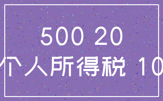 500 20_个人所得税 10