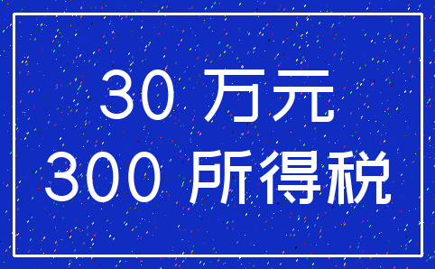 30 万元_300 所得税