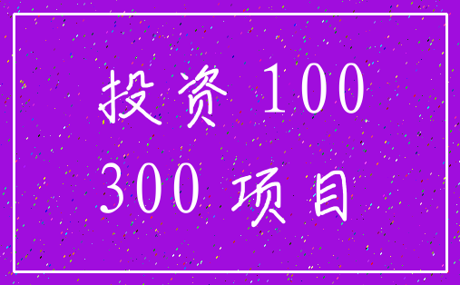 投资 100_300 项目