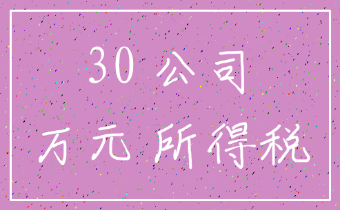 30 公司_万元 所得税