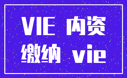 VIE 内资_缴纳 vie